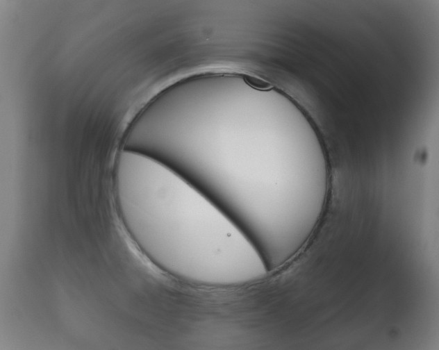 X0000111901428200907270959