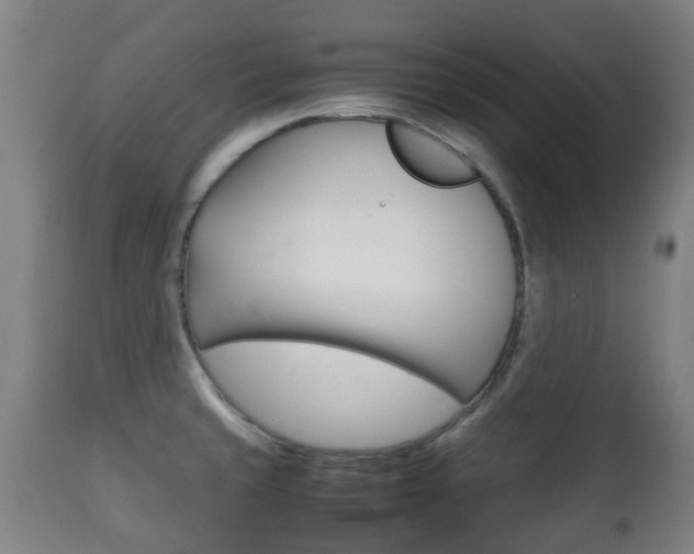 X0000111901429200907270959