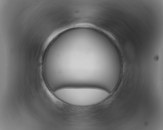 X0000111901430200907270959