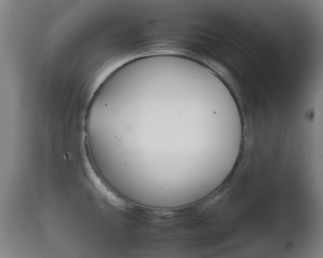 X0000111901431200907270959