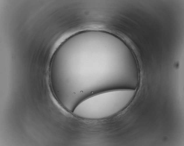 X0000111901432200907270959
