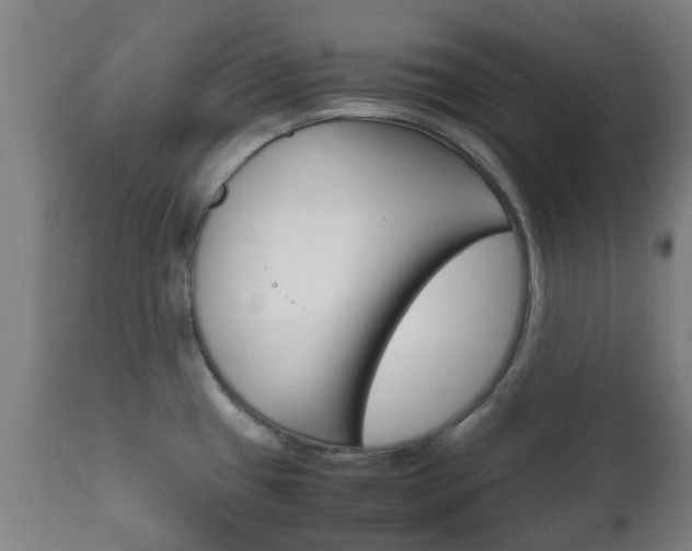 X0000111901433200907270959