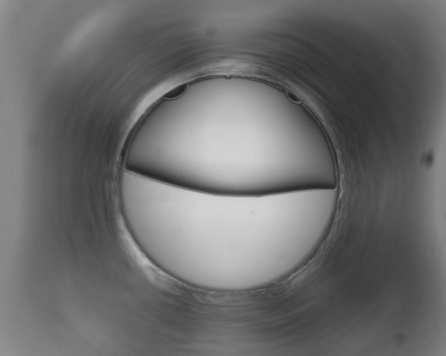 X0000111901434200907270959