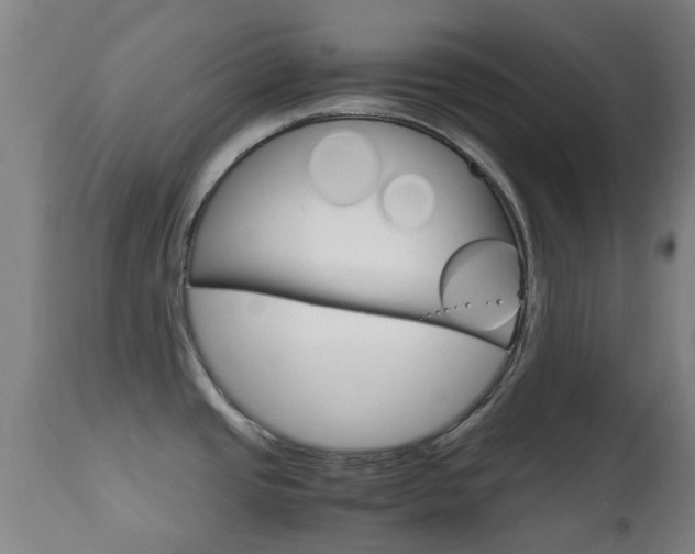 X0000111901437200907270959
