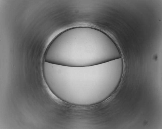 X0000111901438200907270959