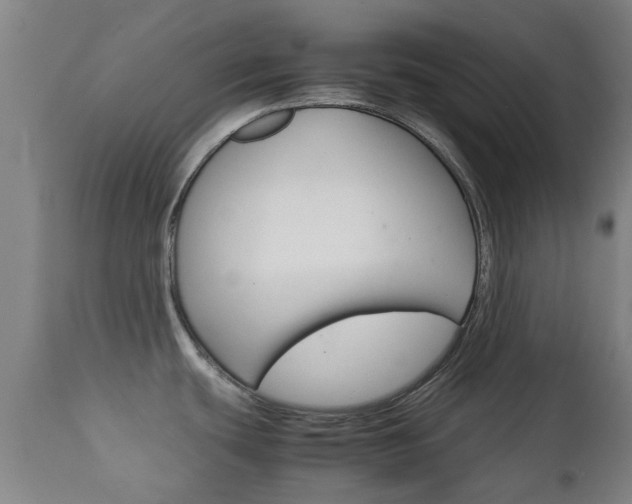 X0000111901439200907270959