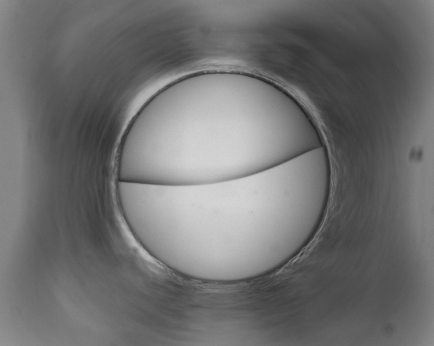 X0000111901440200907271000