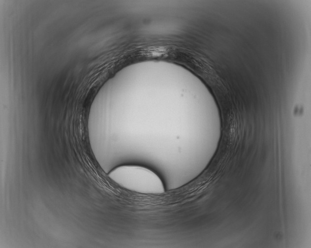 X0000111901442200907270959