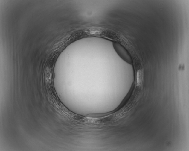 X0000111901443200907270959