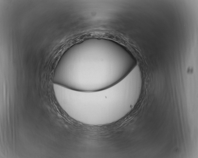 X0000111901445200907270958