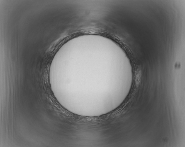 X0000111901446200907270958
