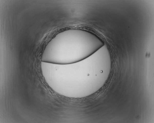 X0000111901447200907270958