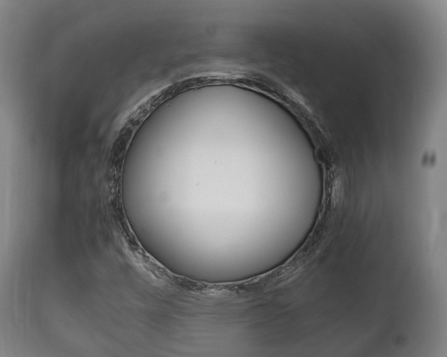 X0000111901448200907270958
