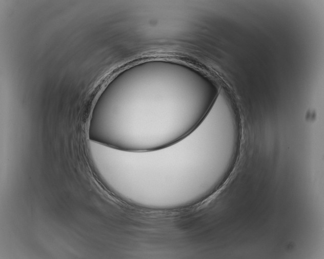 X0000111901449200907270958