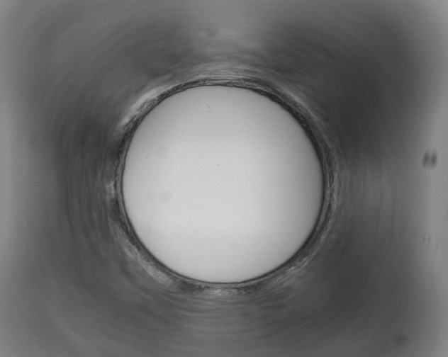 X0000111901451200907270958