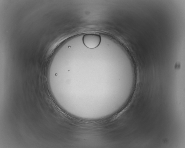 X0000111901453200907270958