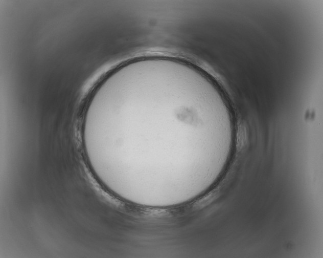 X0000111901454200907270958