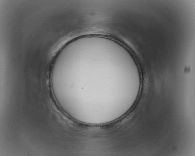 X0000111901455200907270958