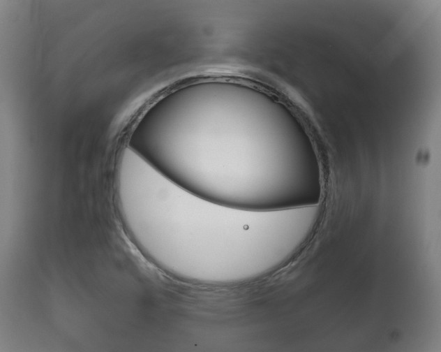 X0000111901456200907270958