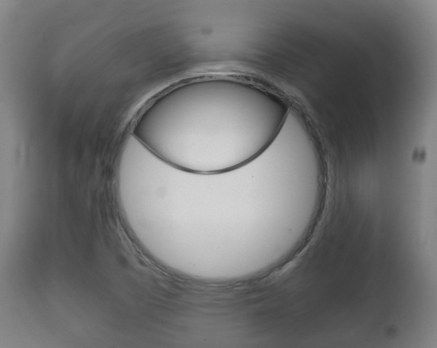 X0000111901457200907270958