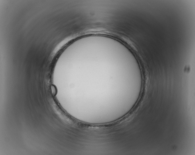 X0000111901458200907270958