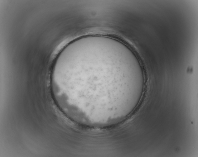 X0000111901459200907270958
