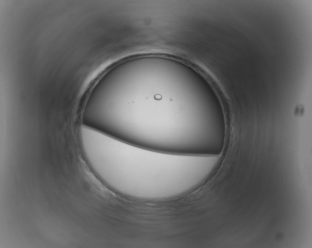X0000111901460200907270958