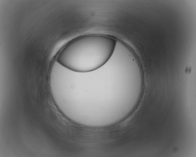 X0000111901461200907270958