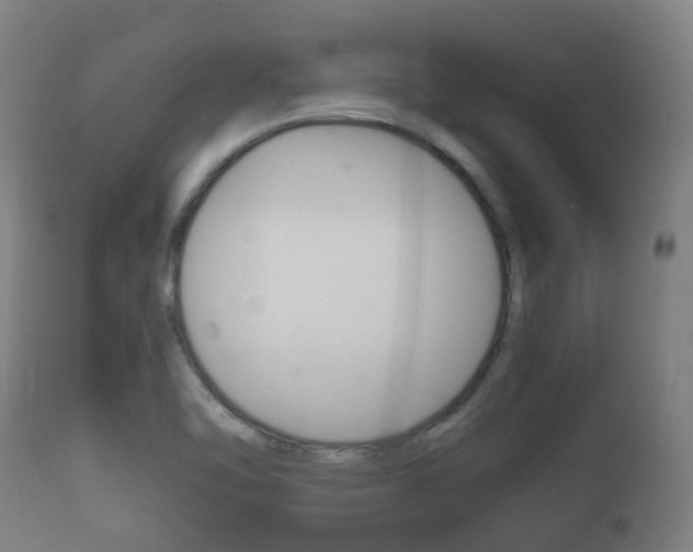 X0000111901462200907270958