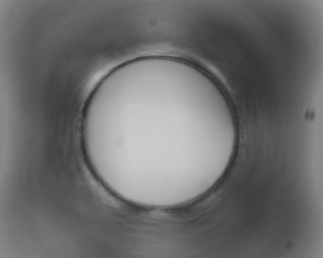 X0000111901463200907270958