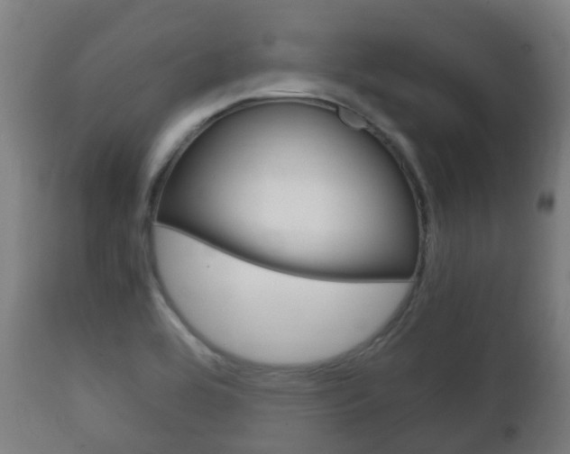 X0000111901464200907270958