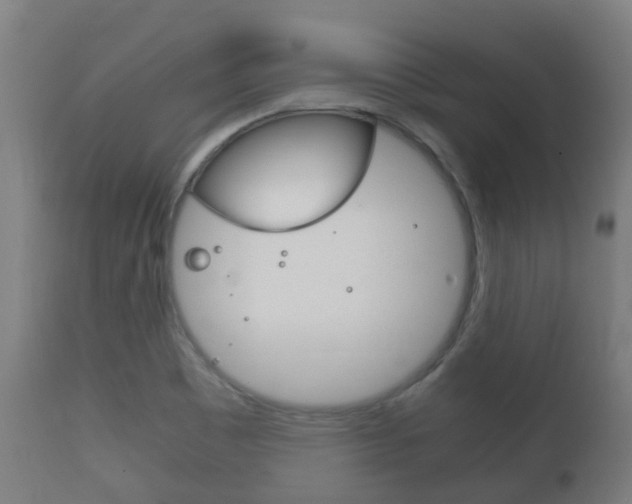 X0000111901465200907270958