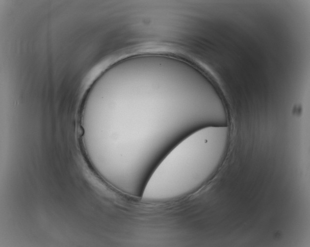 X0000111901467200907270958