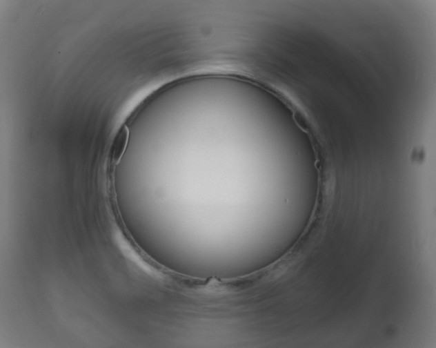 X0000111901468200907270958