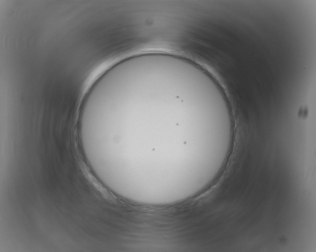 X0000111901469200907270958