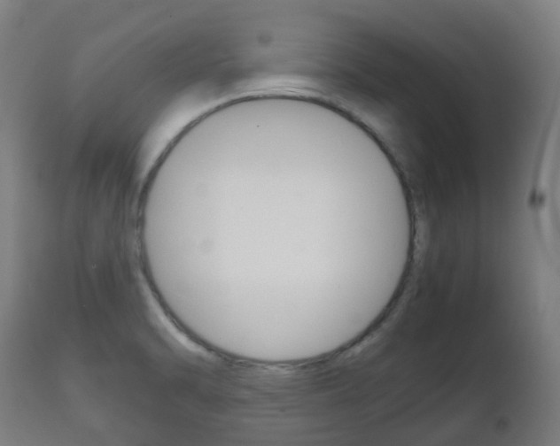 X0000111901470200907270958
