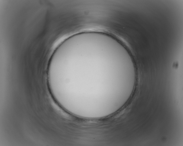 X0000111901471200907270958