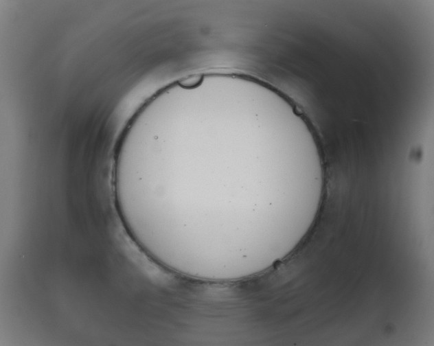 X0000111901472200907270958
