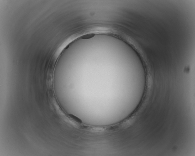 X0000111901473200907270958