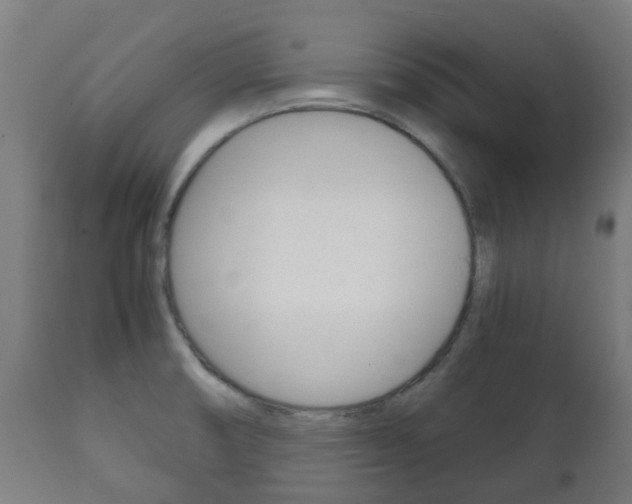 X0000111901474200907270958