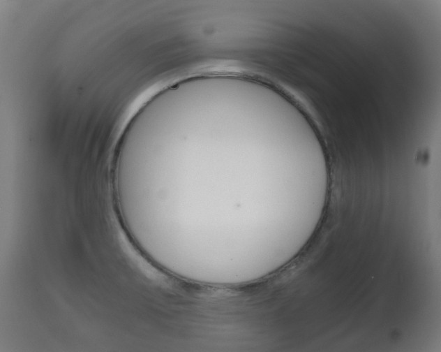 X0000111901475200907270958