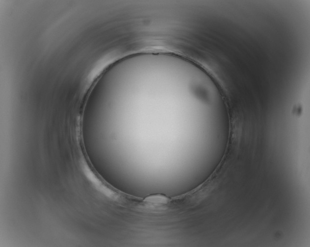 X0000111901476200907270958