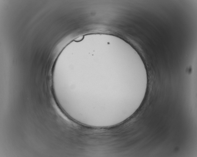 X0000111901479200907270958