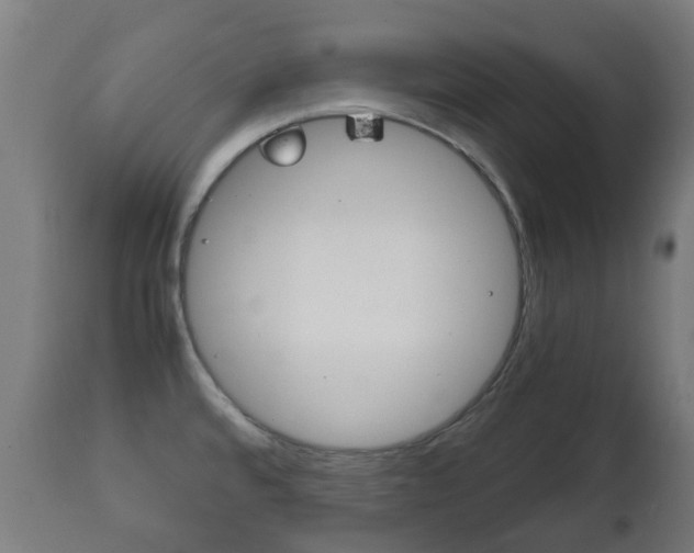 X0000111901480200907270958