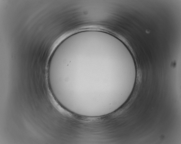 X0000111901482200907270958