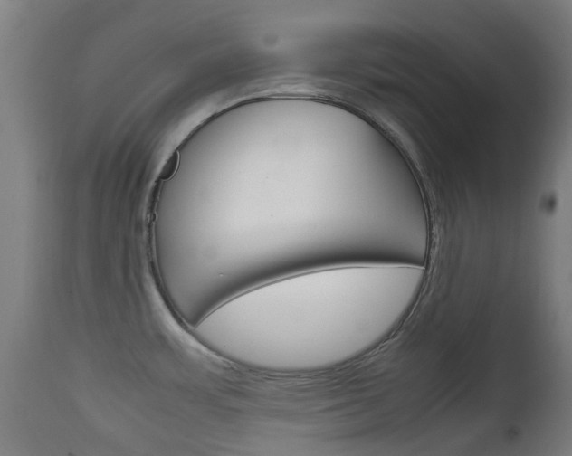 X0000111901483200907270958