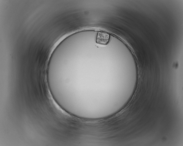 X0000111901484200907270958