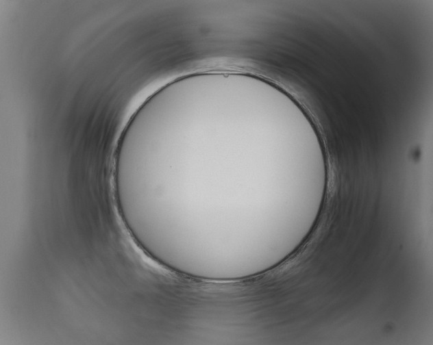 X0000111901486200907270958
