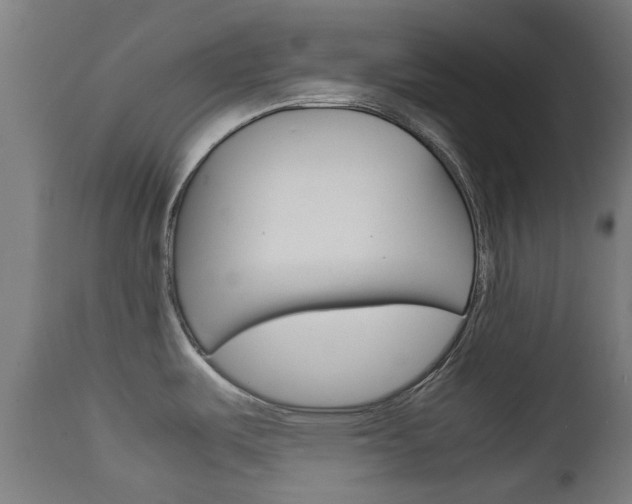 X0000111901487200907270958