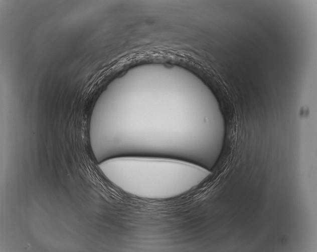 X0000111901490200907270957
